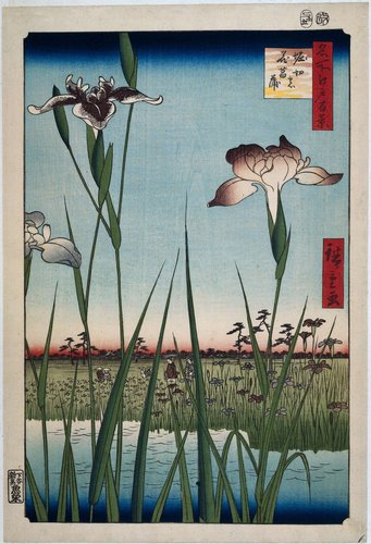Meisho Edo hyakkei