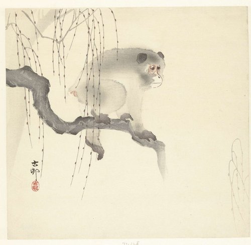 Aap op boomtak by Ohara Koson