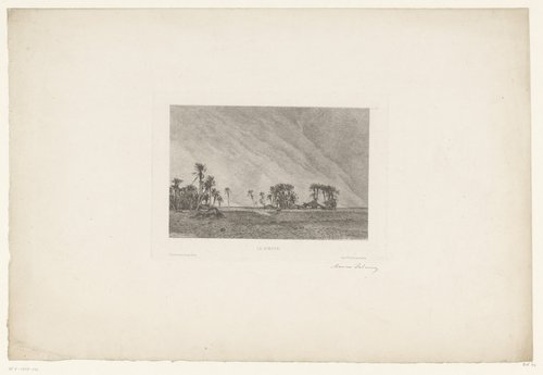 Landschap met palmbomen