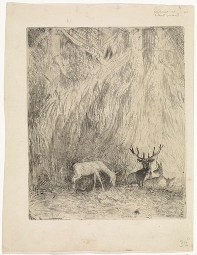 Herten in een Boheems woud