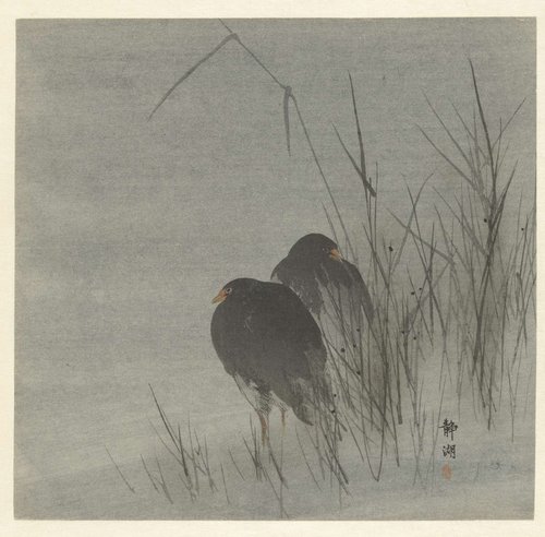Twee meerkoeten tussen riet by Okuhara Seiko