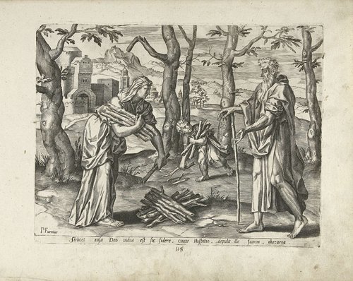 Elia en de weduwe van Sarefat