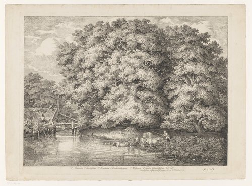 Watermolen bij een grote eik