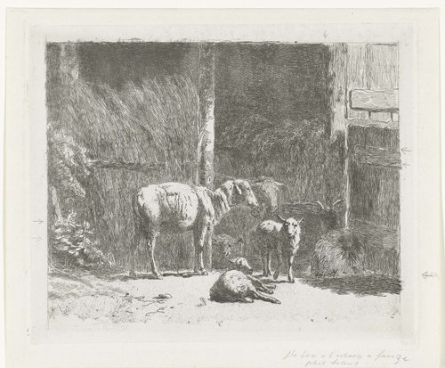 Schapen en lammeren en liggende bok bij stal by Simon van den Berg