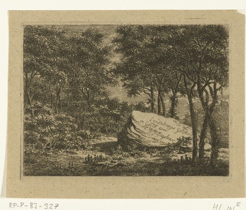 Landschap met bomen en grote steen