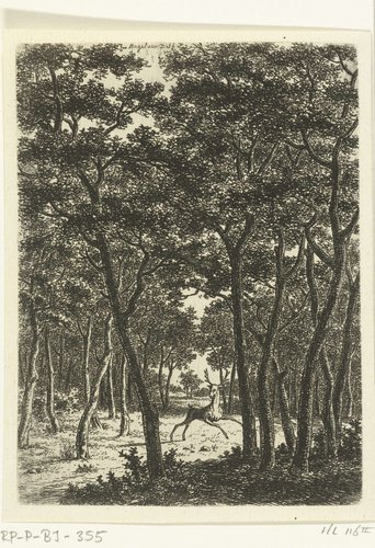 Boslandschap met hert