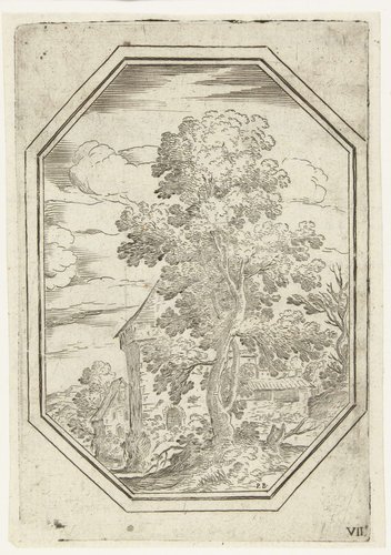Octagonale Landschappen