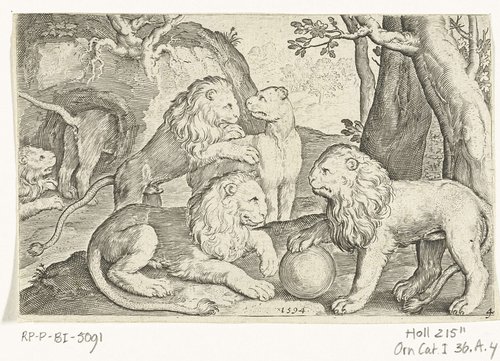 Animalivm qvadrvpedvm