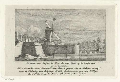 Gezicht op de vesten van Leiden