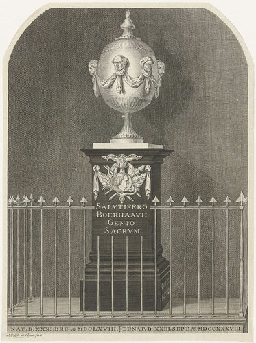 Monument voor Herman Boerhaave