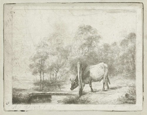 Landschap met een koe naast een sloot