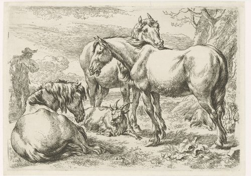 Dieren