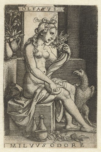 Olfatvs milvvs odore by Georg Pencz