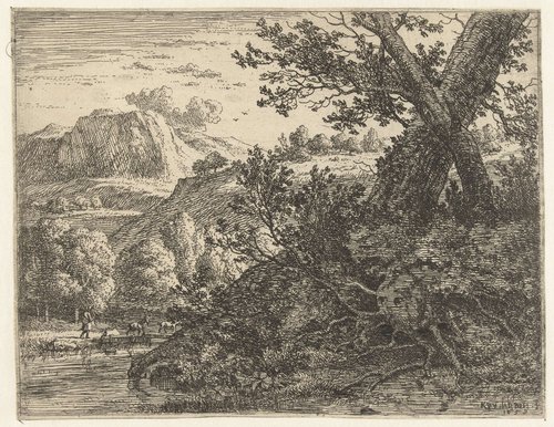 Landschap met boom met blootgelegde wortels