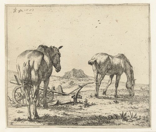 Twee paarden en een ploeg