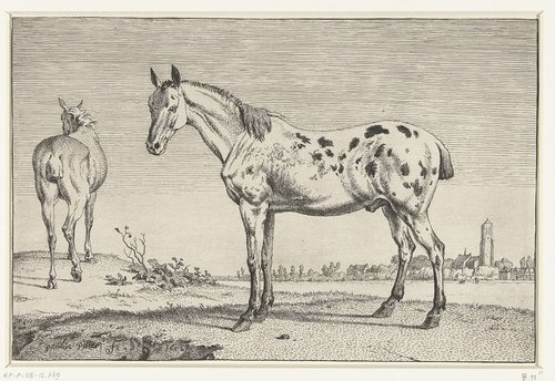 Het gecoupeerde paard