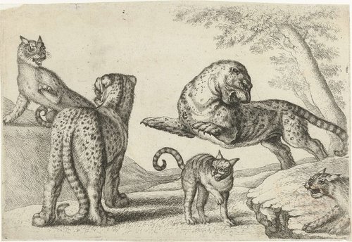 Animals after various artists