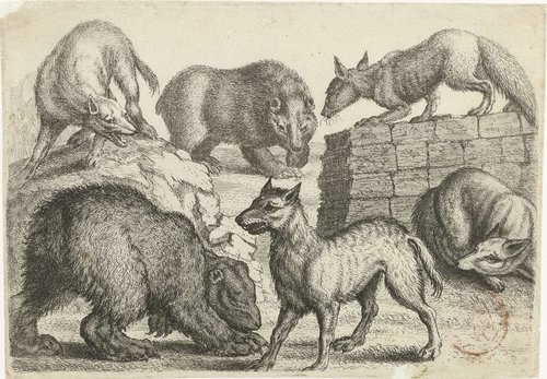 Twee beren, twee wolven en twee vossen