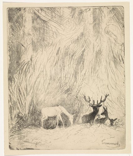 Herten in een Boheems woud