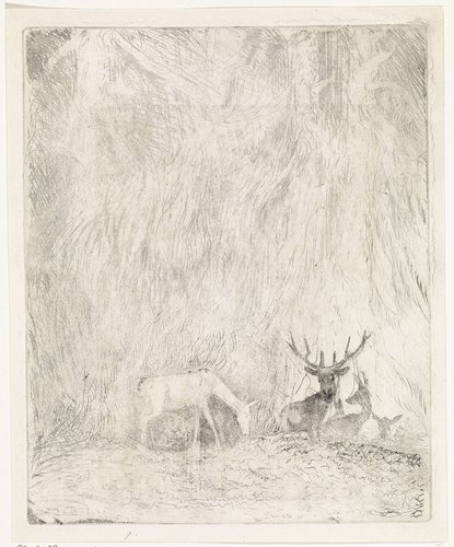 Herten in een Boheems woud