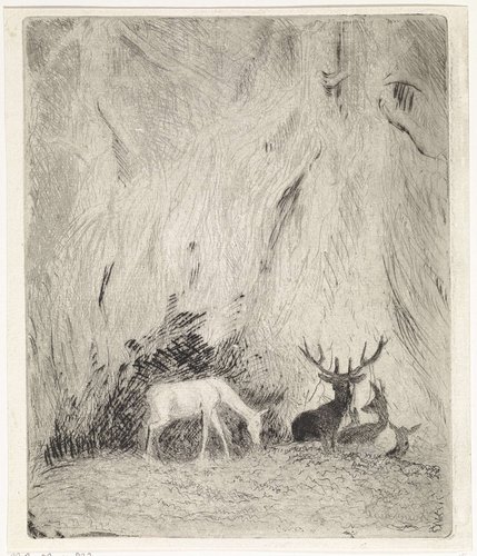 Herten in een Boheems woud