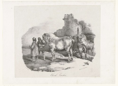 Studies van paarden