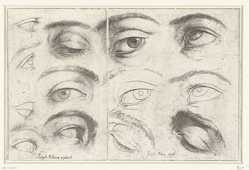 Studies van ogen