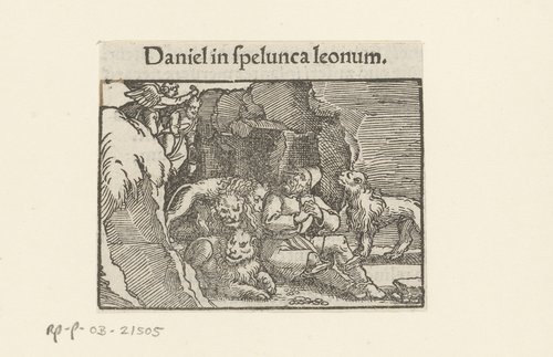 Daniel in spelunca leonum by anonymous