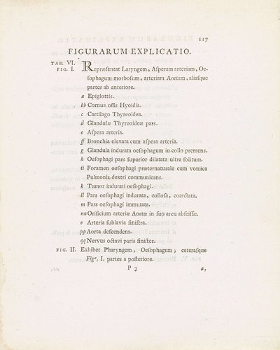 Tekstblad uit: Janus Bleuland, Observationes Anatomico-Medicae de Sana et Morbosa Oesophagi Structura, 1785