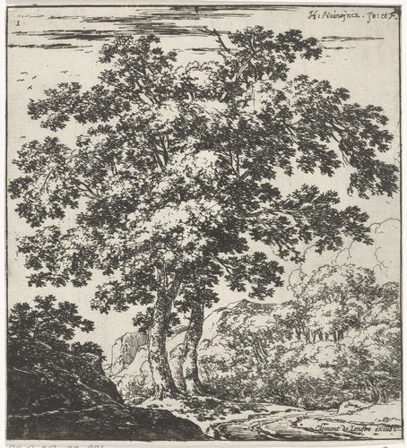 Twee grote bomen in een landschap