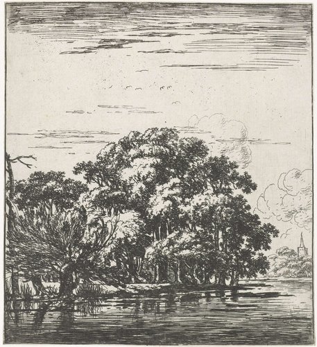 Rivier met been beboste oever