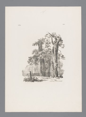 Landschap