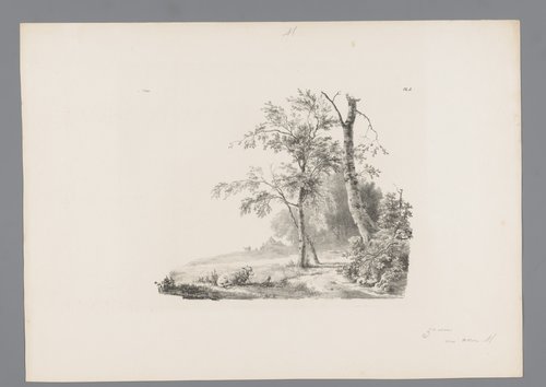 Landschap met schaap aan touw
