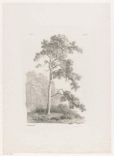 Landschap studiën tweede levering