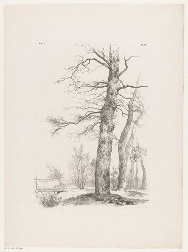 Bomen en brug in landschap