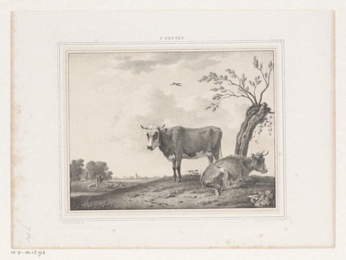 Landschap met stieren