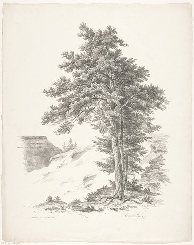 Bomen, heuvel en dak van boerderij
