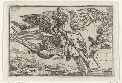 Iris op een regenboog