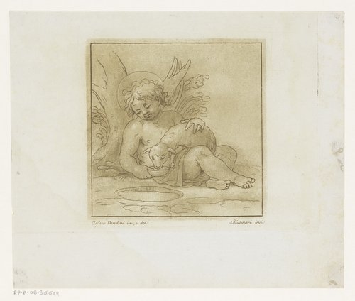 Johannes de Doper in de wildernis