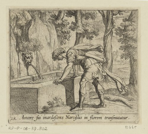 Amore sui inardescens Narcissus in florem transmutatur by Antonio Tempesta