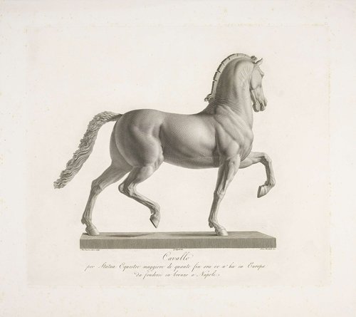 Cavallo