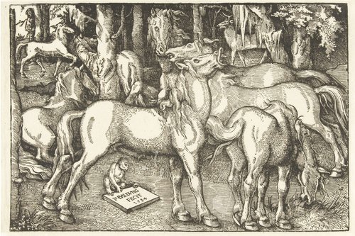 Groep van zeven paarden en een aap