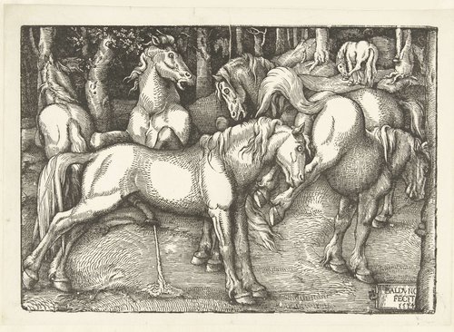 Groep van zes vechtende paarden