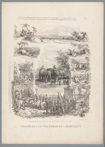Jacht op struisvogel en olifant