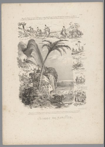 Chasse de Gazelles