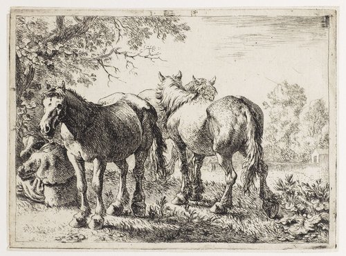 Drie paarden en een boer