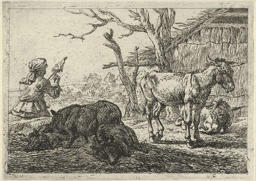 Verschillende dieren