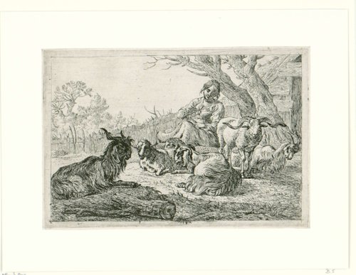 Herderin te midden van geiten en schapen