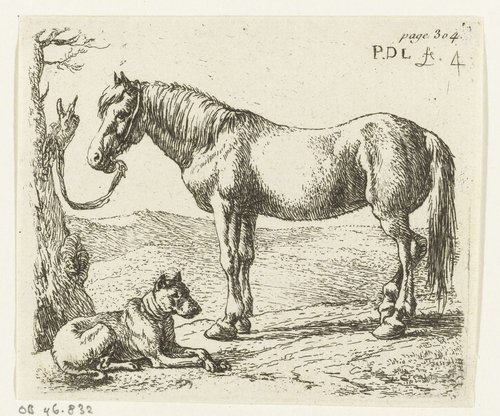 Paarden