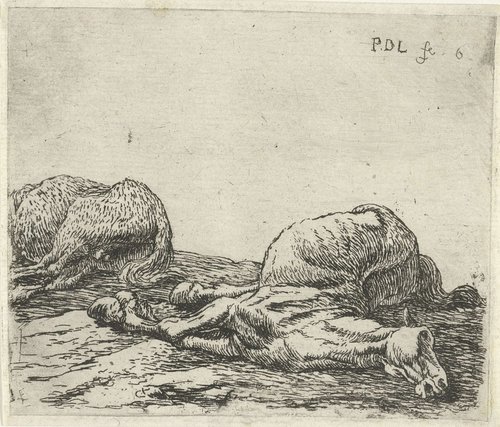 Twee dode paarden